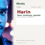 Harin Name Meaning and Details
