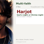 Harjot Name Meaning and Details