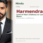 Harmendra Name Meaning and Details