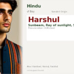 Harshul Name Meaning and Details