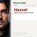 Hassel Name Meaning and Details