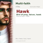 Hawk Name Meaning and Details