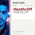 Heathcliff Name Meaning and Details