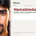 Hemabindu Name Meaning and Details