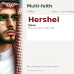 Hershel Name Meaning and Details