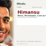 Himansu Name Meaning and Details