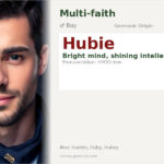 Hubie Name Meaning and Details