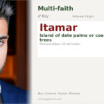 Itamar Name Meaning and Details