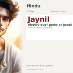 Jaynil Name Meaning and Details