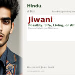 Jiwani Name Meaning and Details