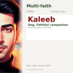 Kaleeb Name Meaning and Details