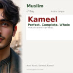 Kameel Name Meaning and Details