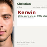 Kerwin Name Meaning and Details