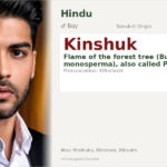 Kinshuk Name Meaning and Details
