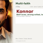 Konnor Name Meaning and Details