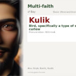 Kulik Name Meaning and Details