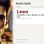 Leeo Name Meaning and Details