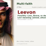 Leevon Name Meaning and Details