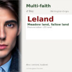 Leland Name Meaning and Details