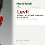 Levii Name Meaning and Details