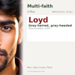 Loyd Name Meaning and Details