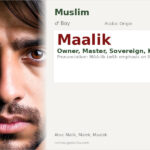 Maalik Name Meaning and Details