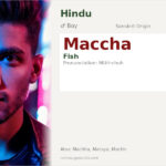 Maccha Name Meaning and Details