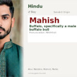 Mahish Name Meaning and Details