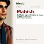 Mahish Name Meaning and Details