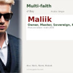 Maliik Name Meaning and Details