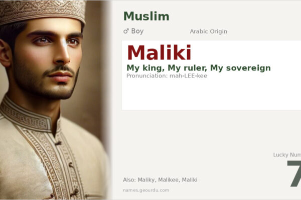 Maliki Name Meaning — Arabic Origin, Boy Name & Islamic Significance (2025)
