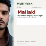 Mallaki Name Meaning and Details