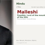 Malleshi Name Meaning and Details