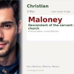 Maloney Name Meaning and Details
