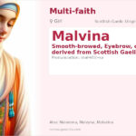 Malvina Name Meaning and Details