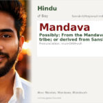 Mandava Name Meaning and Details
