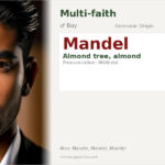 Mandel Name Meaning and Details
