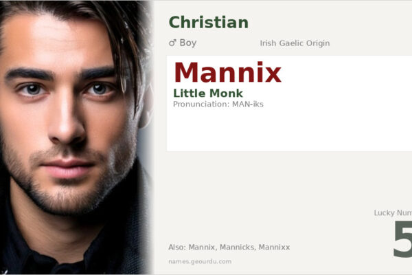 Mannix Name Meaning — Irish Origin, Boy Name & History (2025)