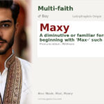 Maxy Name Meaning and Details