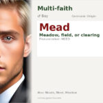 Mead Name Meaning and Details