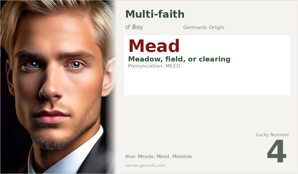 Mead Name Meaning and Details
