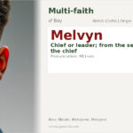 Melvyn Name Meaning and Details