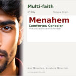 Menahem Name Meaning and Details
