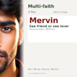 Mervin Name Meaning and Details