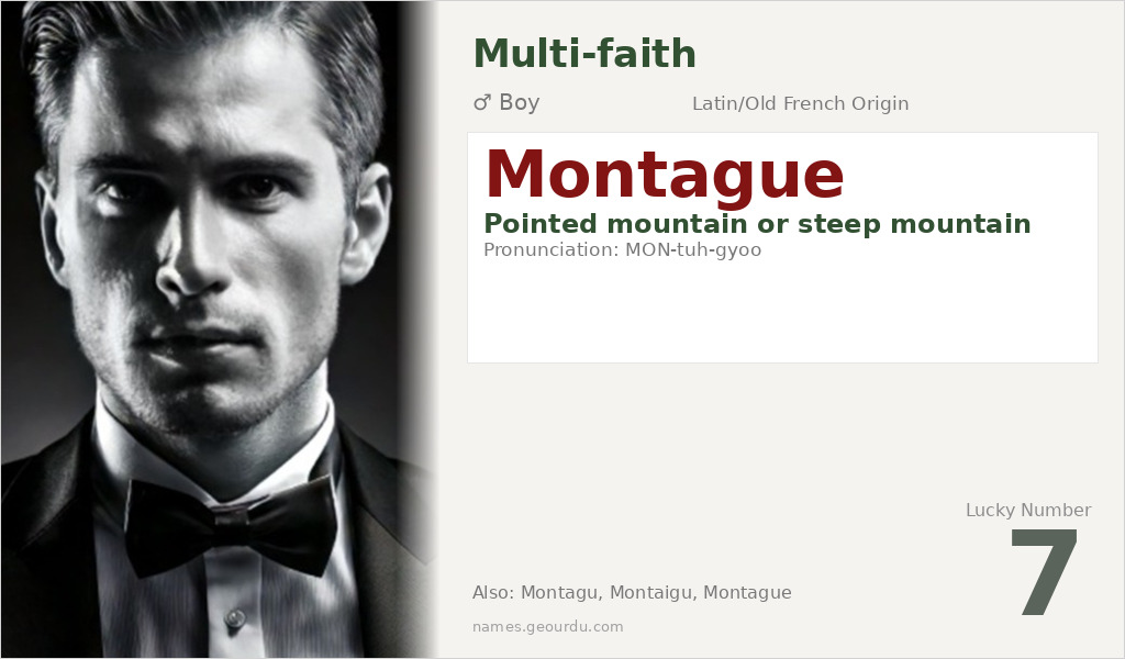 Montague Name Meaning and Details
