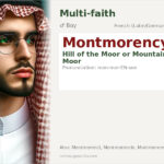 Montmorency Name Meaning and Details