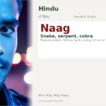 Naag Name Meaning and Details