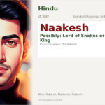 Naakesh Name Meaning and Details