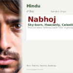 Nabhoj Name Meaning and Details