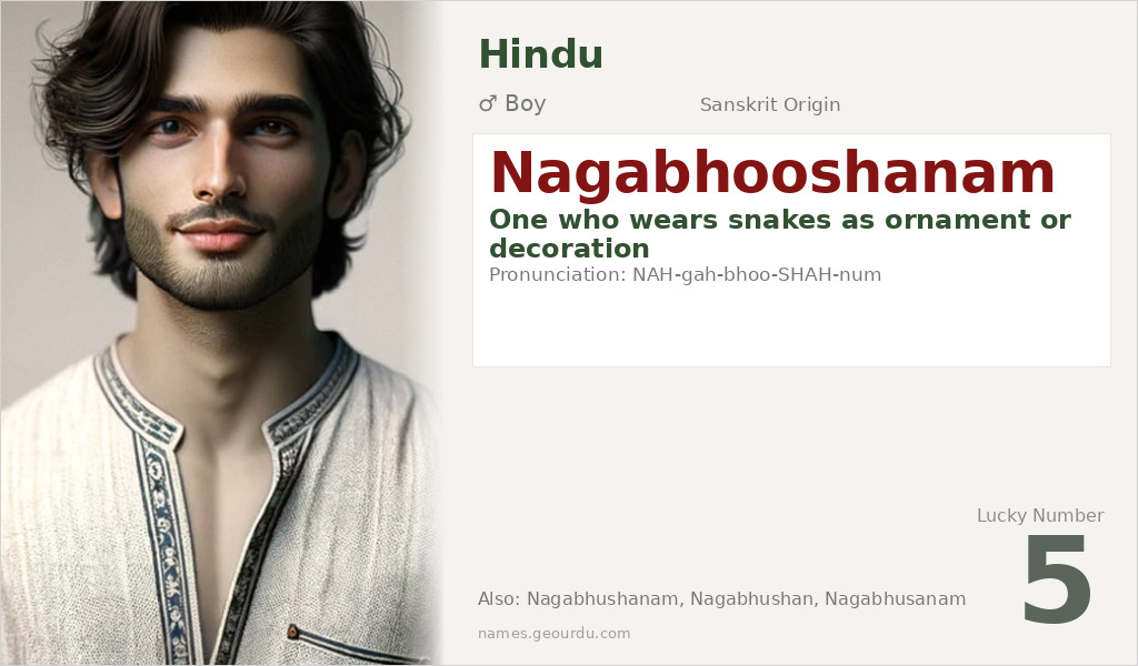 Nagabhooshanam Name Meaning and Details